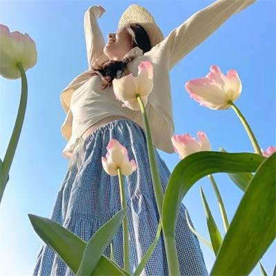 绝望主妇第一季