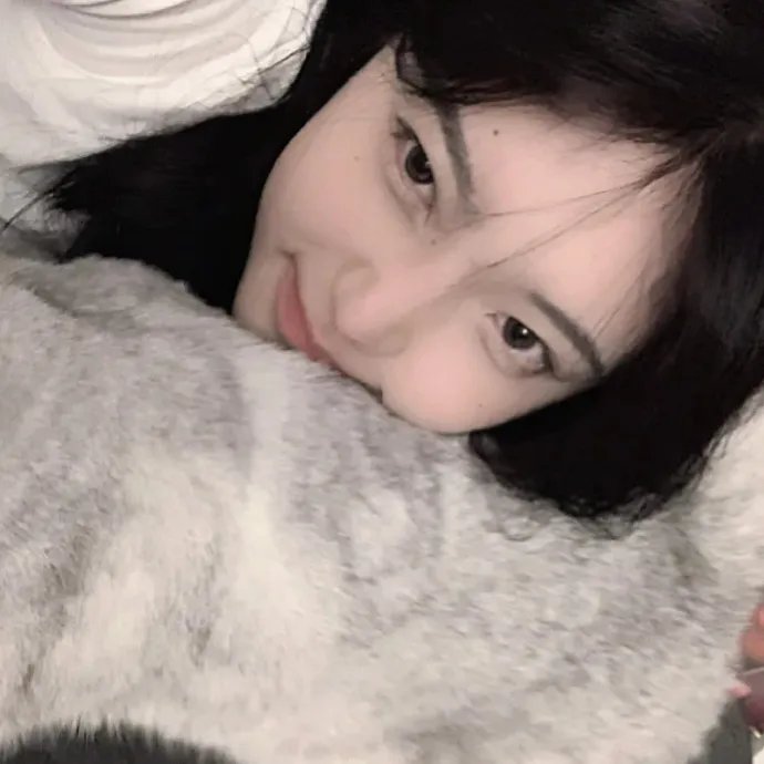 熊熊大冒险
